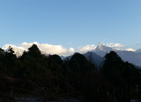 nepal/chitwan-valley/landmark/trek-tours-chitwan-national-park