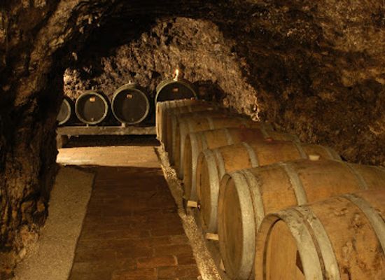 hungary/sopron-wine-region/landmark/gangl-winery