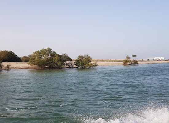 qatar/al-thakira-mangroves/landmark/mangrove-channel-aquasports