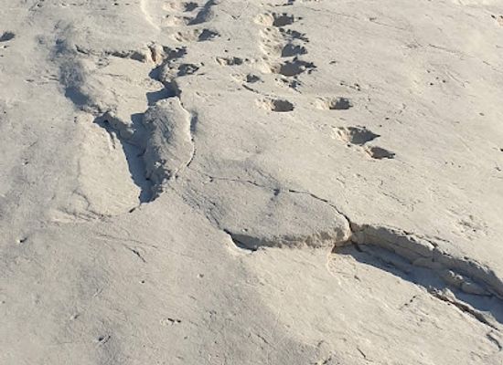 qatar/al-wakrah/landmark/rock-carvings