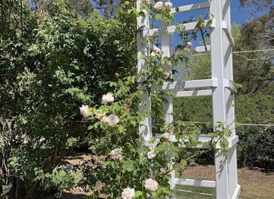 australia/canberra/landmark/old-parliament-house-gardens