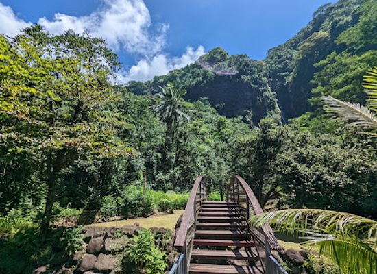 french-polynesia/raiatea/landmark/fa-aruma-i-waterfalls