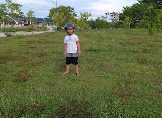 philippines/davao-city/buhangin-district/landmark/molave-park