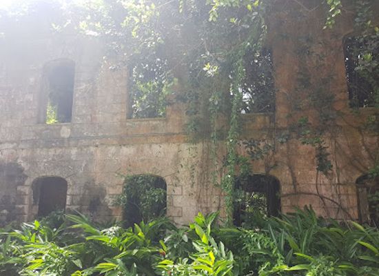 barbados/harrison-s-cave/landmark/farley-hill-national-park