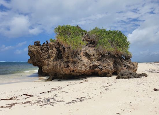 kenya/watamu/landmark/jc-kite-school-kitesurf-watamu-kenya