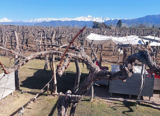 argentina/cuyo/landmark/kaiken-ramos-generales-by-francis-mallmann