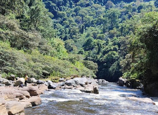 colombia/magdalena-river-valley/landmark/estrecho-del-rio-magdalena