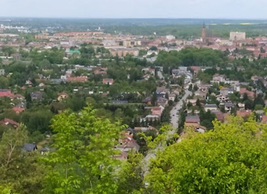 poland/tarnow/landmark/tarnowski-castle-ruins