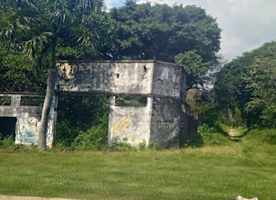 colombia/tolima-department/landmark/tolima-7-dias