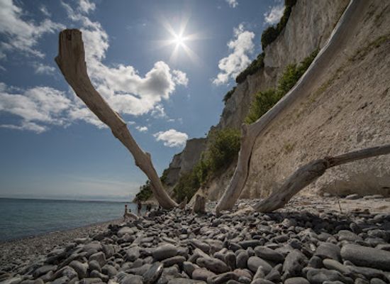 denmark/mon/attraction/mons-klint