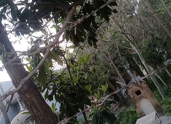 pakistan/hindko-region/landmark/qabristaan