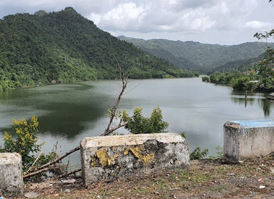 puerto-rico/puerto-rican-cordillera/landmark/bosque-estatal-de-rio-abajo