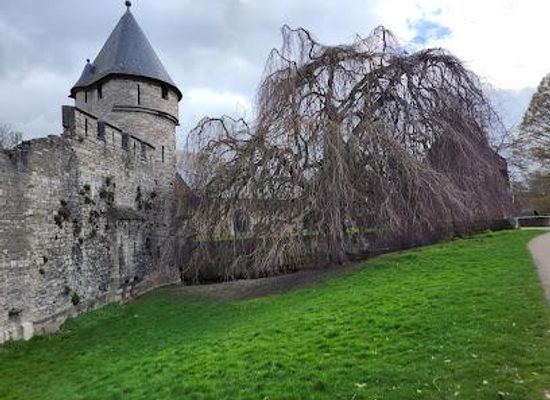 belgium/pays-de-herve/landmark/father-vinck-tower