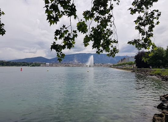 switzerland/western-switzerland/landmark/the-geneva-water-fountain