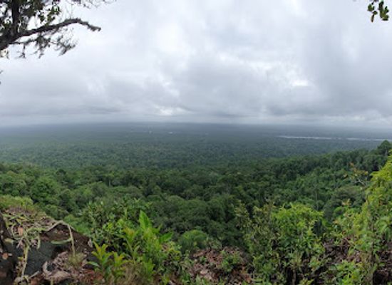 guyana/pakaraima-mountains/landmark/iwokrama-river-lodge