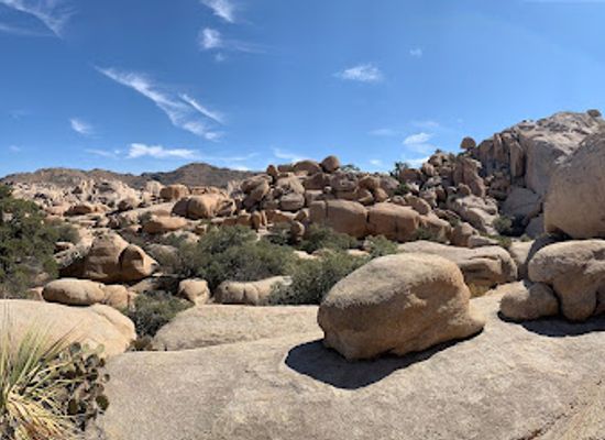 california/joshua-tree/landmark/joshua-tree-excursions
