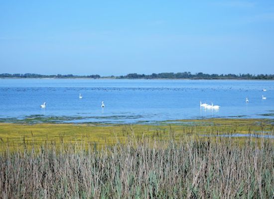 france/camargue/landmark/reserve-naturelle-nationale-de-camargue
