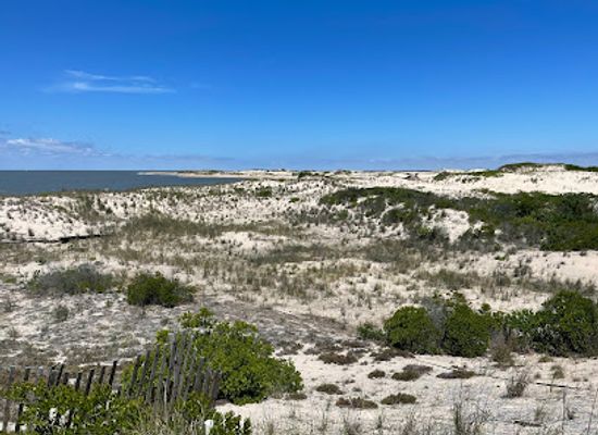 delaware/cape-henlopen-state-park/landmark/cape-henlopen-state-park-beach