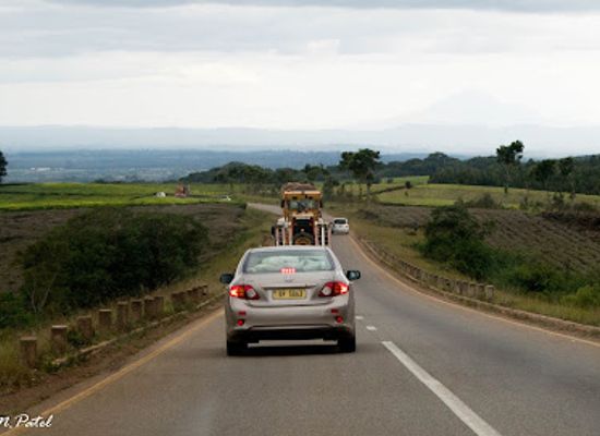 malawi/zomba/landmark/thyolo-tea-estate