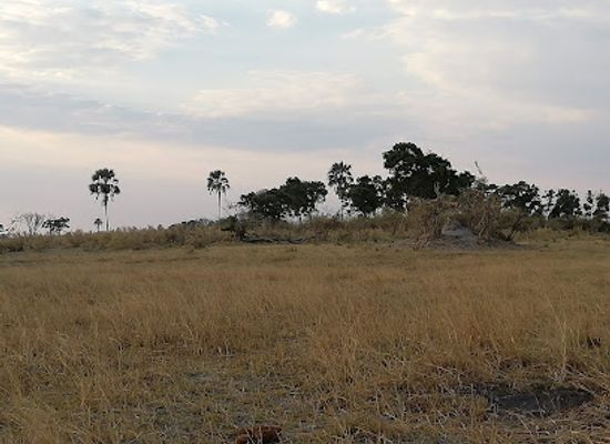 angola/cuando-cubango/landmark/cubango