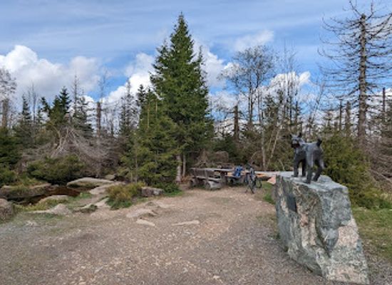 germany/harz-mountains/landmark/luchs-denkmal-torfhausmoor
