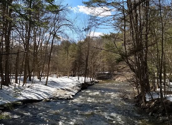new-hampshire/hanover/landmark/mink-brook-nature-preserve