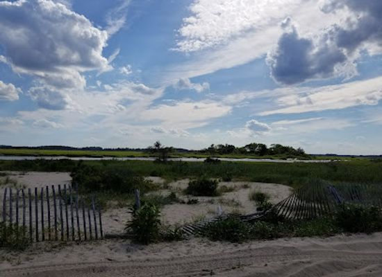 delaware/lewes/landmark/great-marsh-preserve