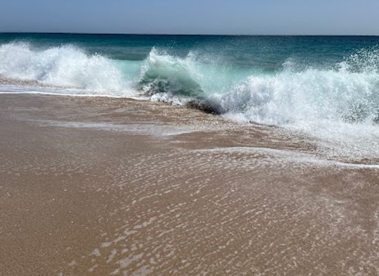 oman/ash-sharqiyah-south-governorate/landmark/turtle-eggs-layer