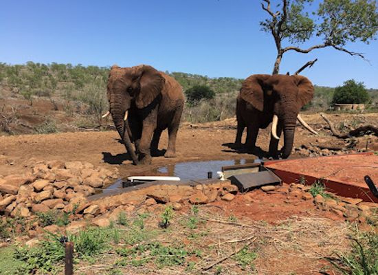 south-africa/elephant-coast/landmark/zimanga-private-game-reserve