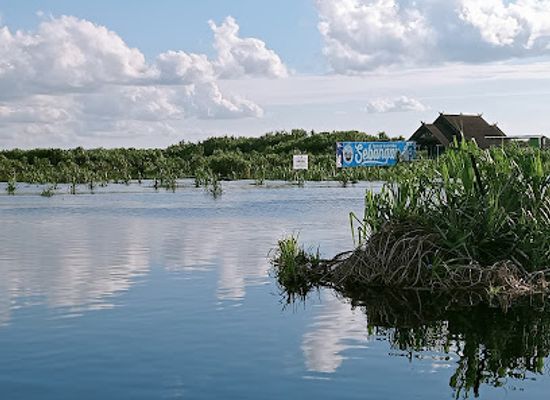 indonesia/kalimantan/landmark/sebangau-national-park