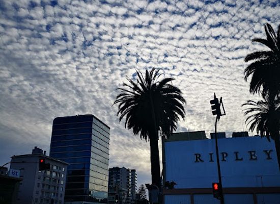 chile/vina-del-mar/landmark/metro-valparaiso-estacion-vina-del-mar