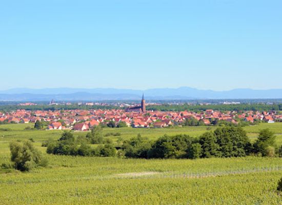 france/alsace-wine-route/landmark/la-halte-des-vignes-route-des-vins-d-alsace