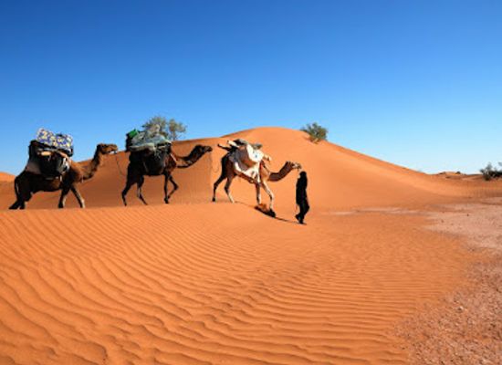 morocco/sahara-desert/landmark/contes-du-desert