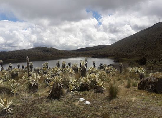 ecuador/carchi-region/landmark/complejo-ecoturistico-aguas-hediondas