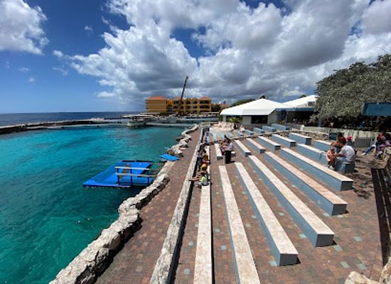curacao/jan-thiel/landmark/dolphin-academy-curacao