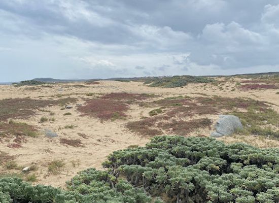 aruba/noord/landmark/sasariwichi-dunes