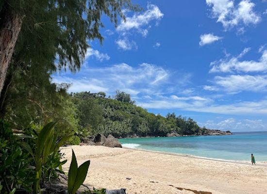 seychelles/ile-cocos/landmark/bibi-take-away-cafe