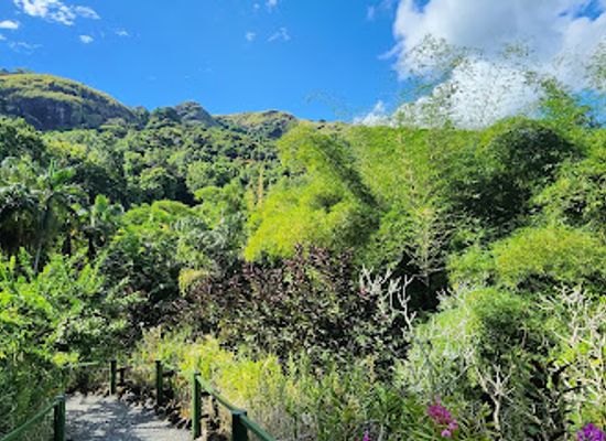 fiji/nadi/landmark/garden-of-the-sleeping-giant