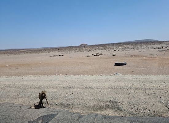 djibouti/petit-bara-desert/landmark/grand-bara
