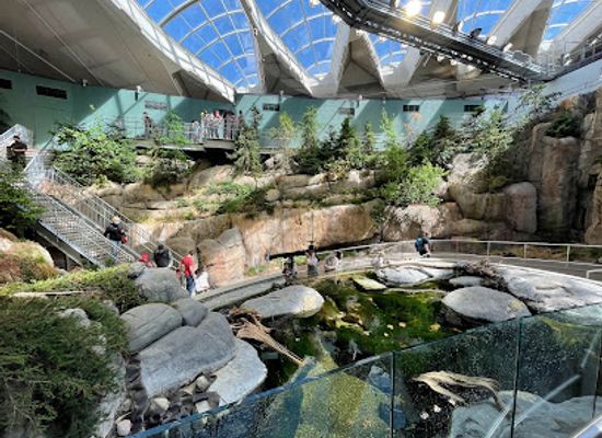 canada/monteregie/landmark/montreal-biodome