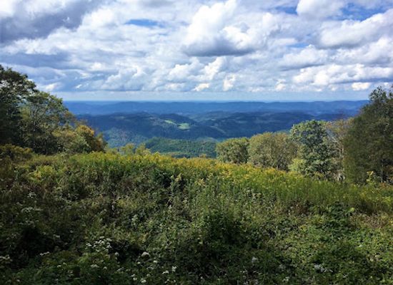 west-virginia/elkins/landmark/elkins-randolph-county-tourism-convention-and-visitors-bureau