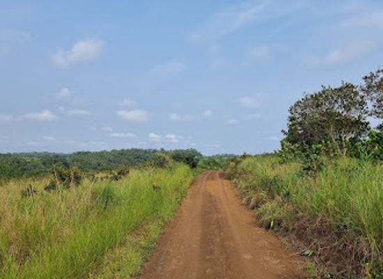 gabon/plateaux-bateke/landmark/parc-de-la-lekedi