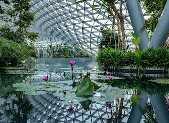 singapore/changi/landmark/jewel-changi-airport
