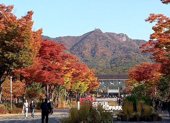 south-korea/gyeonggi-province/landmark/seoul-grand-park