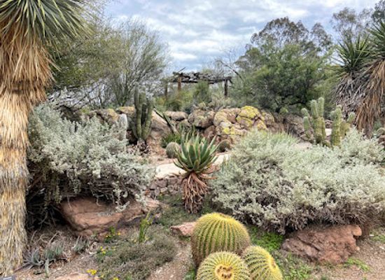 arizona/red-rock-country/landmark/boyce-thompson-arboretum