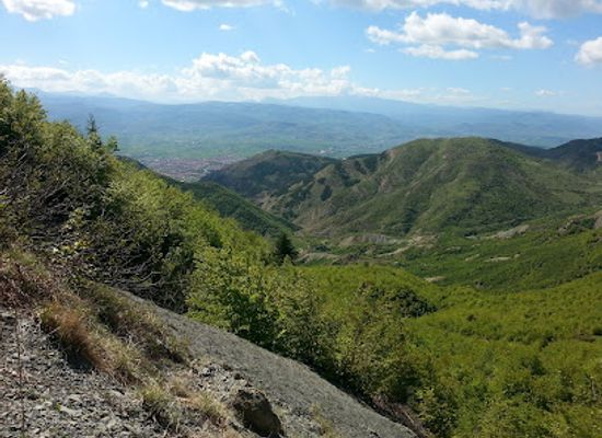 albania/devoll/landmark/fir-of-drenova-national-park