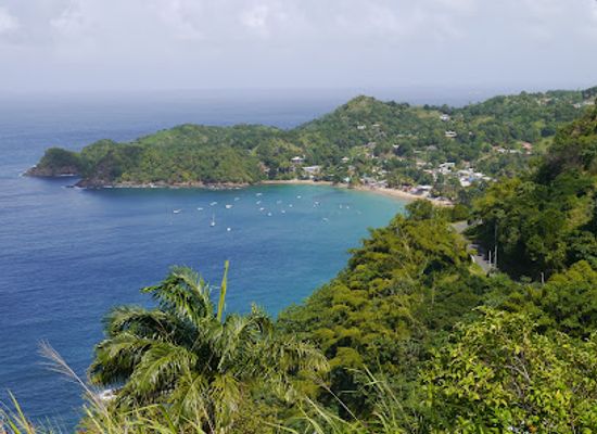 trinidad-and-tobago/tobago/landmark/castara-beach
