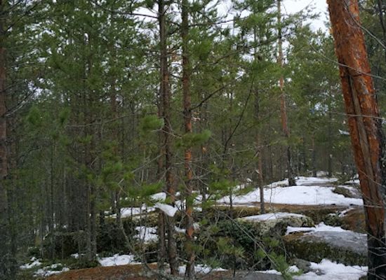 finland/north-karelia/landmark/mount-sampo