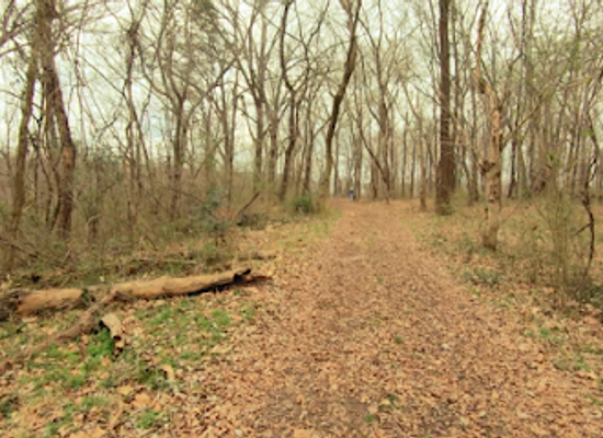 alabama/central-alabama/landmark/tuscumbia-landing