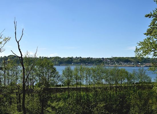 denmark/vejle/attraction/deer-park-vejle
